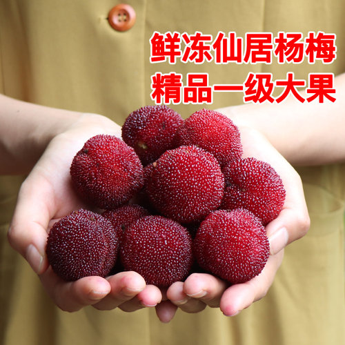 仙居杨梅冷冻东魁杨梅顺丰空运