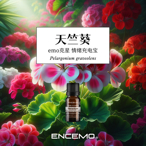ENCEMO天竺葵单方精油