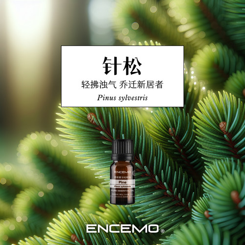 ENCEMO针松单方精油欧洲赤松