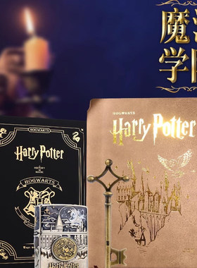 Zippo官方正品打火机魔法学院-哈利可转动珐琅防风煤油打火机