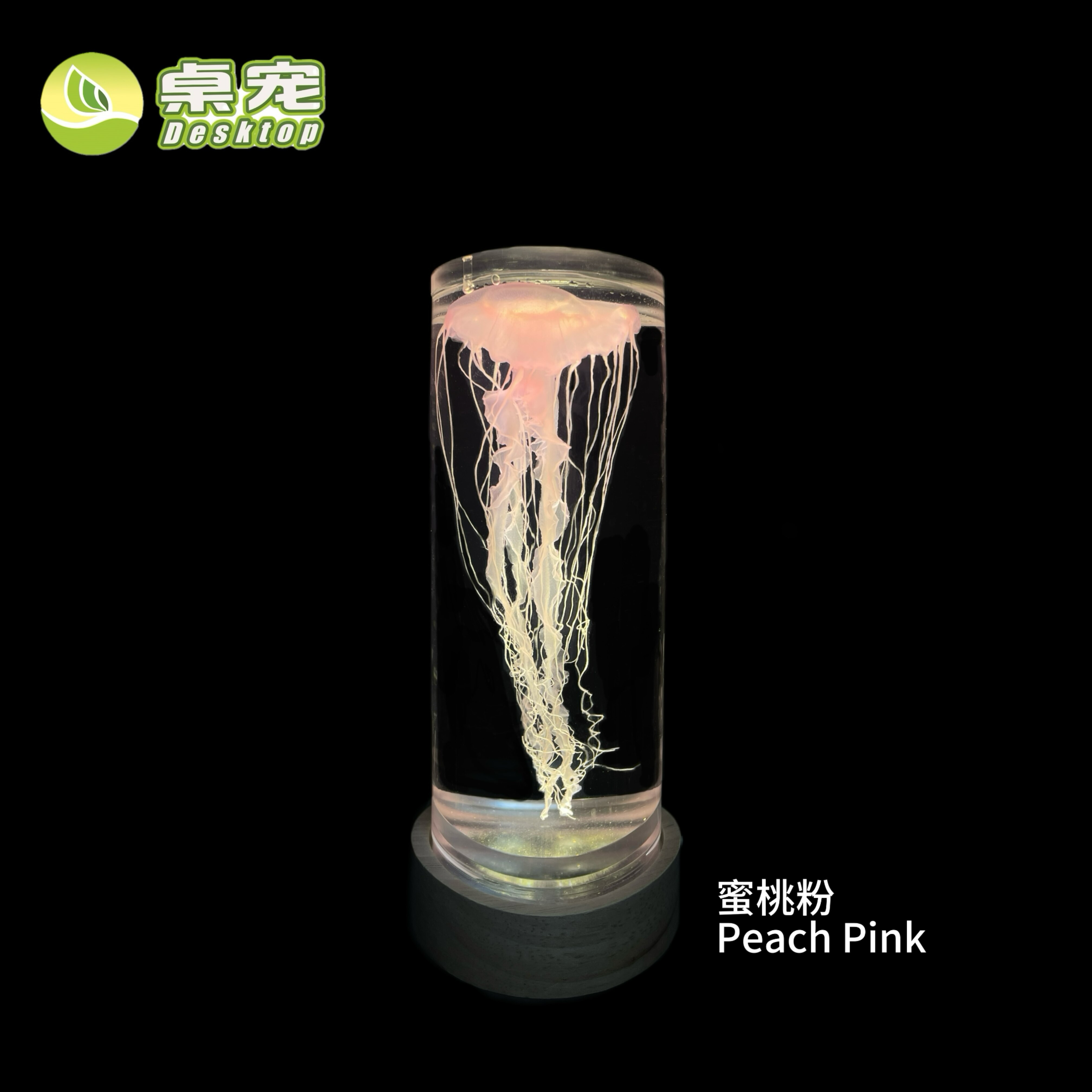 彩色果冻水母发光摆件大标本奇异高档生日礼物新潮赤月大西洋宠物