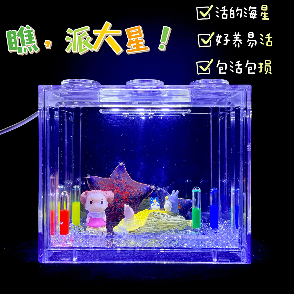 海星活宠物饲养套餐好养学生宠物