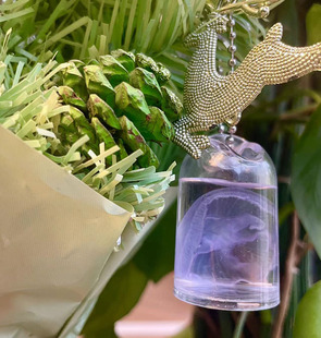 海月水母标本赤月挂件网红摆件许愿瓶礼物新奇儿童学生真水母玩具