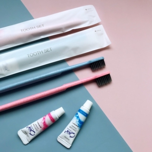 出口日式民宿客栈酒店秸杆牙刷牙膏二合一竹子牙刷软毛待客旅行