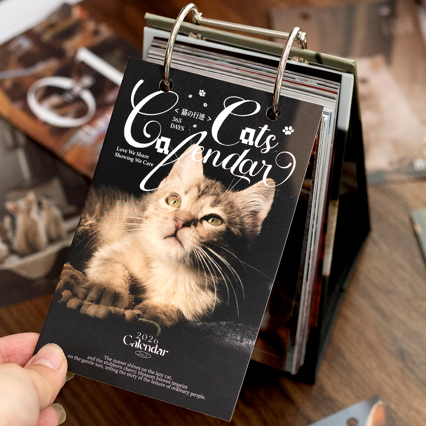 猫咪日历2026年新款台历摆件礼物