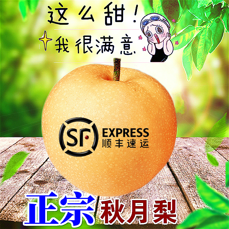 正宗羊脂新鲜包邮秋月梨