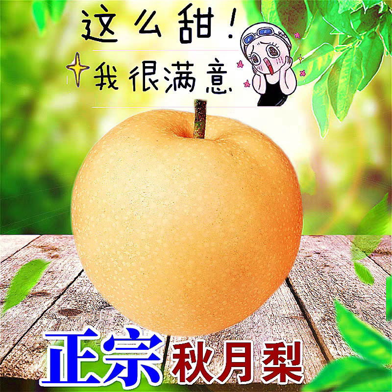 正宗羊脂新鲜包邮秋月梨