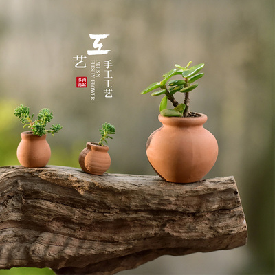 迷你可爱多肉控根拇指花盆