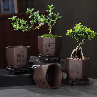 紫砂花盆带底座托盘盆景盆兰花文竹小榕树绿植多肉陶瓷盆花器盆栽