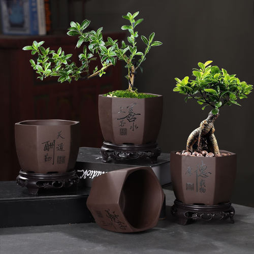 紫砂花盆带底座托盘盆景盆