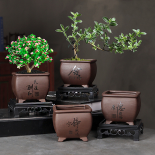 紫砂花盆小榕树老桩透气造景盆客厅兰花花卉绿植多肉盆景盆带托盘