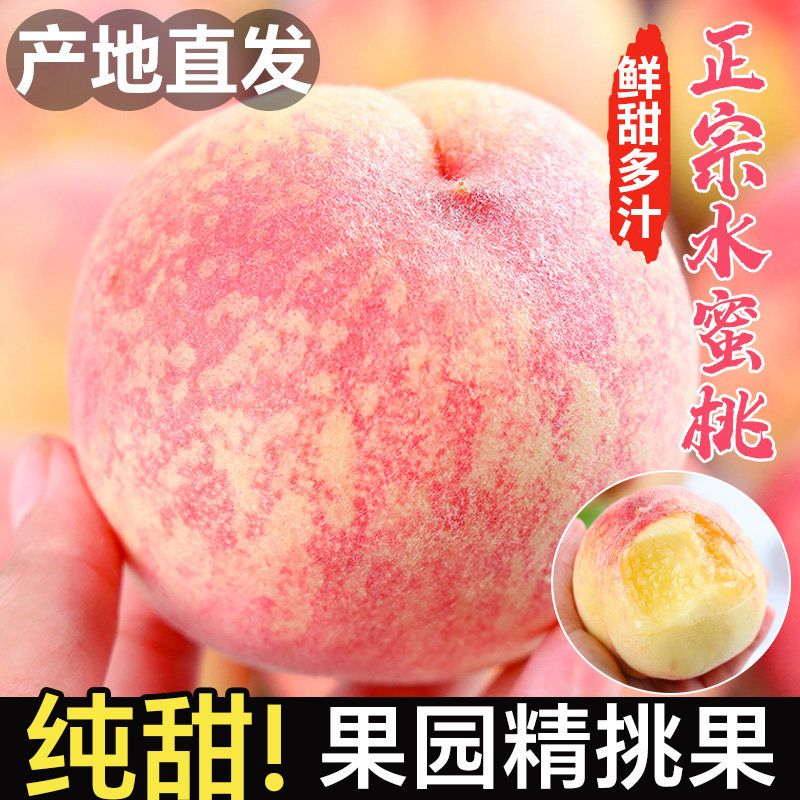 桃子正宗水蜜桃新鲜水果