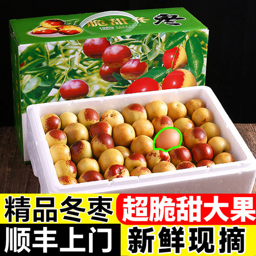 现摘冬枣5斤冰糖枣子新鲜水果当季整箱礼盒应季顺丰包邮脆甜大枣