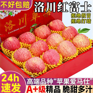 正宗陕西洛川红富士苹果水果新鲜10斤礼盒整箱当季 冰糖心丑苹果