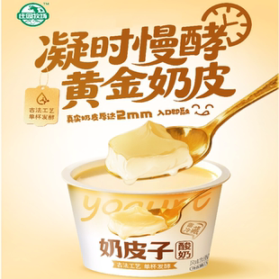 庄园牧场老兰州奶皮子酸奶135g*12杯甘肃特产古法工艺风味发酵乳