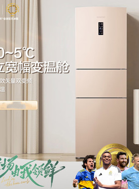 Ronshen/容声 BCD-253WD16NPA三门风冷无霜变频中门软冻家用冰箱