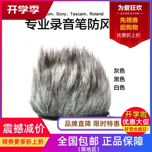 TASCAM录音笔Zoom毛套H1防风毛衣H2N话筒H4N H5罩H6 Q3 D50 DR100