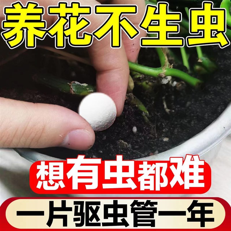 土壤杀虫剂花盆土内除虫药小点白虫千足虫马陆虫鼠妇蠼螋驱虫药片