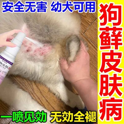狗狗皮肤病外用药治疗狗癣真菌感染除毛螨虫皮炎狗藓宠物专用喷剂