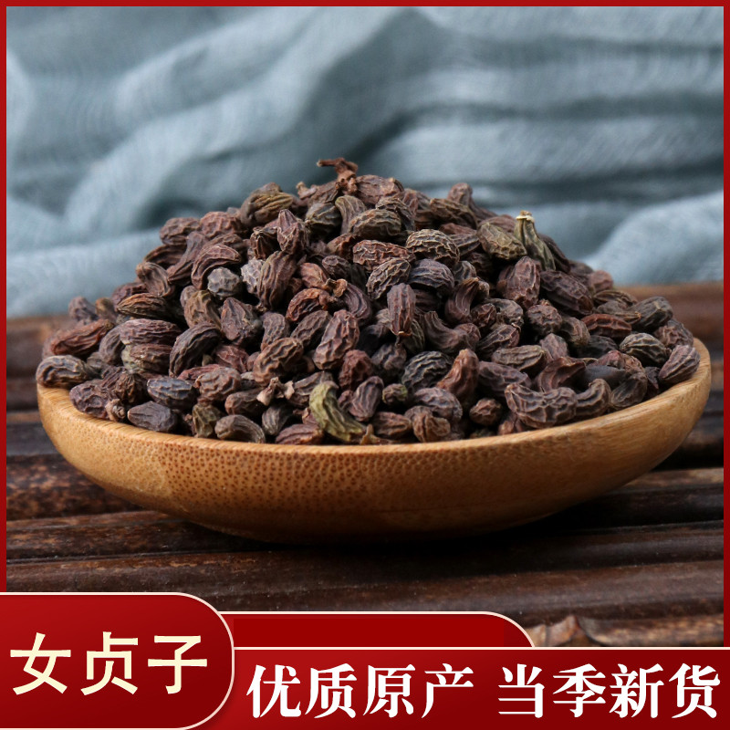 女贞子泡酒中药材