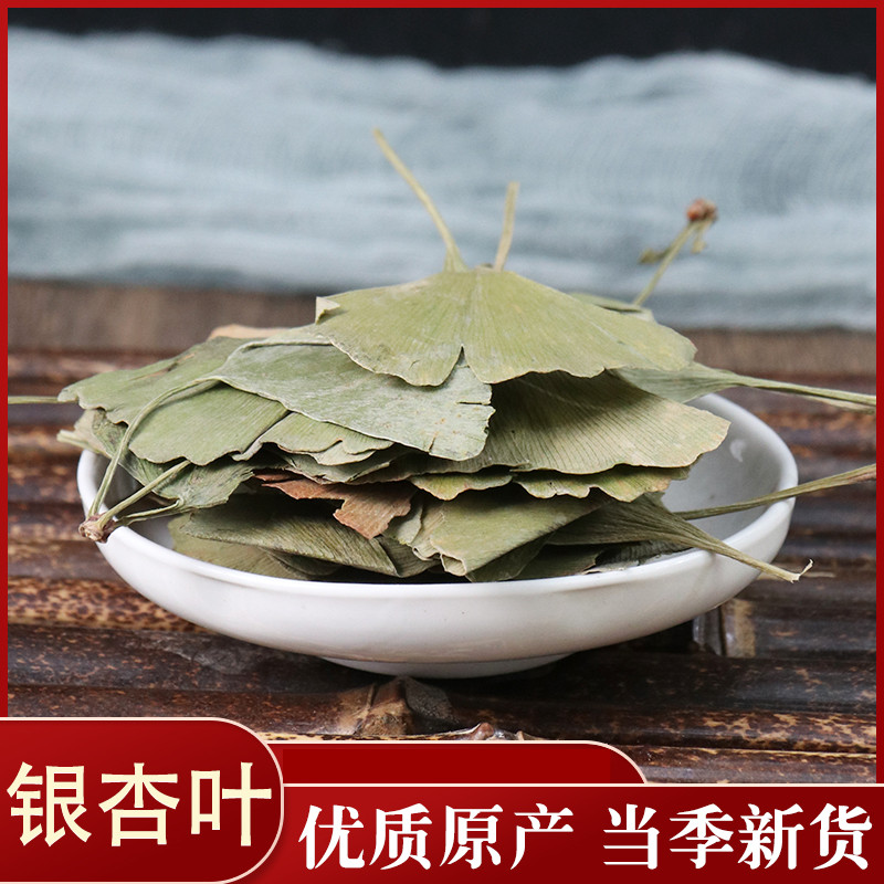 新鲜银杏叶纯天然中药材