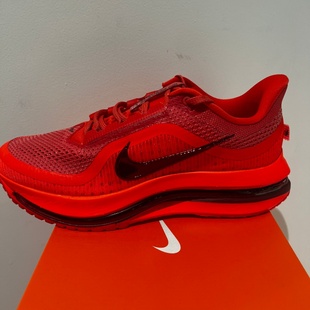 NIKE耐克男鞋PEGASUS PREMIUM飞马运动耐磨训练跑步鞋 HQ2592-601