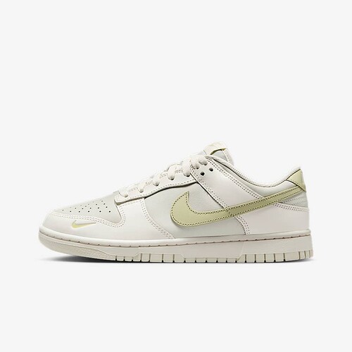 NIKE耐克2025夏季DUNKLOW女子运动鞋复古低帮休闲板鞋IB3484-001