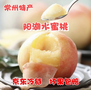 现摘常州洛阳雪堰阳湖水蜜桃5两8只孕妇桃子白凤湖景撕皮礼盒包邮