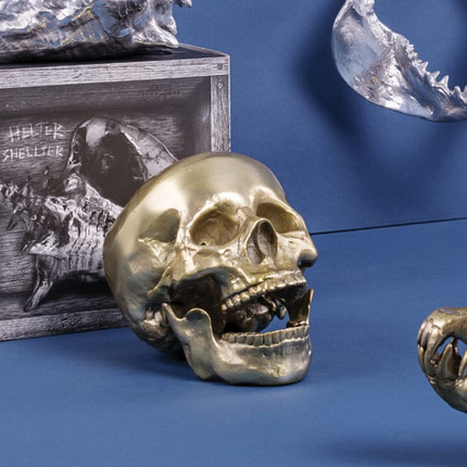 seletti生肖装饰骨头饰品礼物