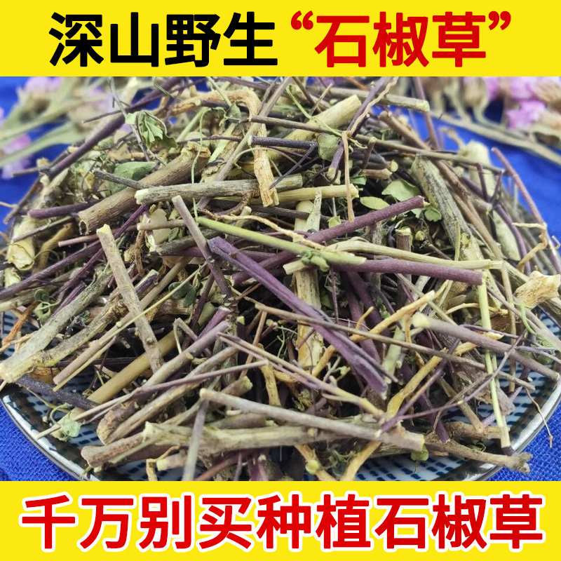 深山野生中药材石椒草500g 石椒 石交 石胡椒 千里马 羊不吃