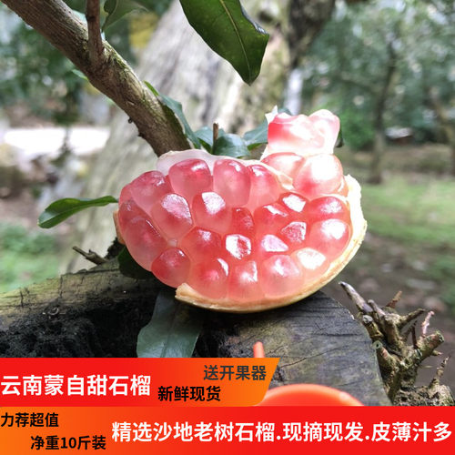 九月猴蒙自石榴皮薄多汁