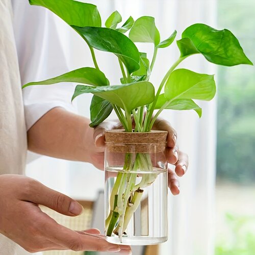 水培花瓶容器摆件透明