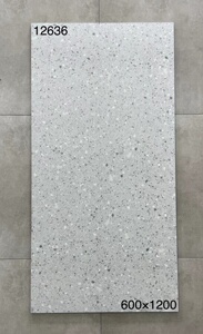 客厅大板哑光仿古砖600x1200