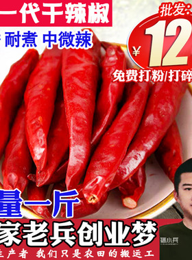 干辣椒500g自种小辣椒朝天椒子弹头河南新一代干红辣椒微辣超香粉