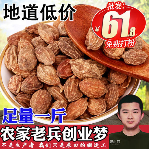 野生砂仁可配远志500g包邮