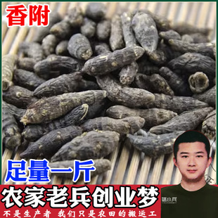 中药材香料大全 香附 香附 生香附子 50克