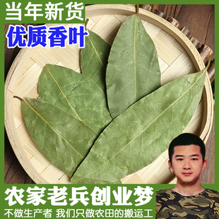 香叶月桂叶调味香料香叶卤料火锅底料调料进口3A香叶另售八角50g