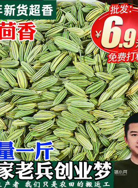 小茴香调料炖羊肉优质香料