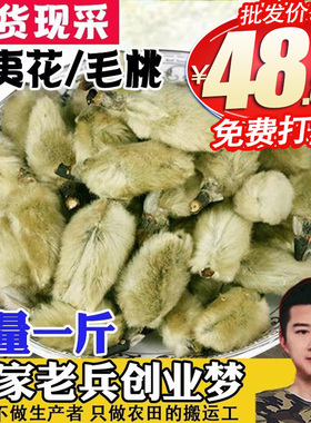 辛夷花毛桃500g玉兰花正品天然特级调味料中药材枕芯泡茶煮蛋包邮