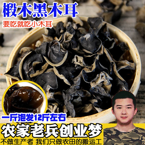 东北黑木耳秋耳小碗耳非野生
