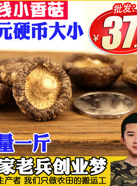 小香菇干货特小香菇500g新货金钱菇迷你冬菇珍珠菇福小兵香菇
