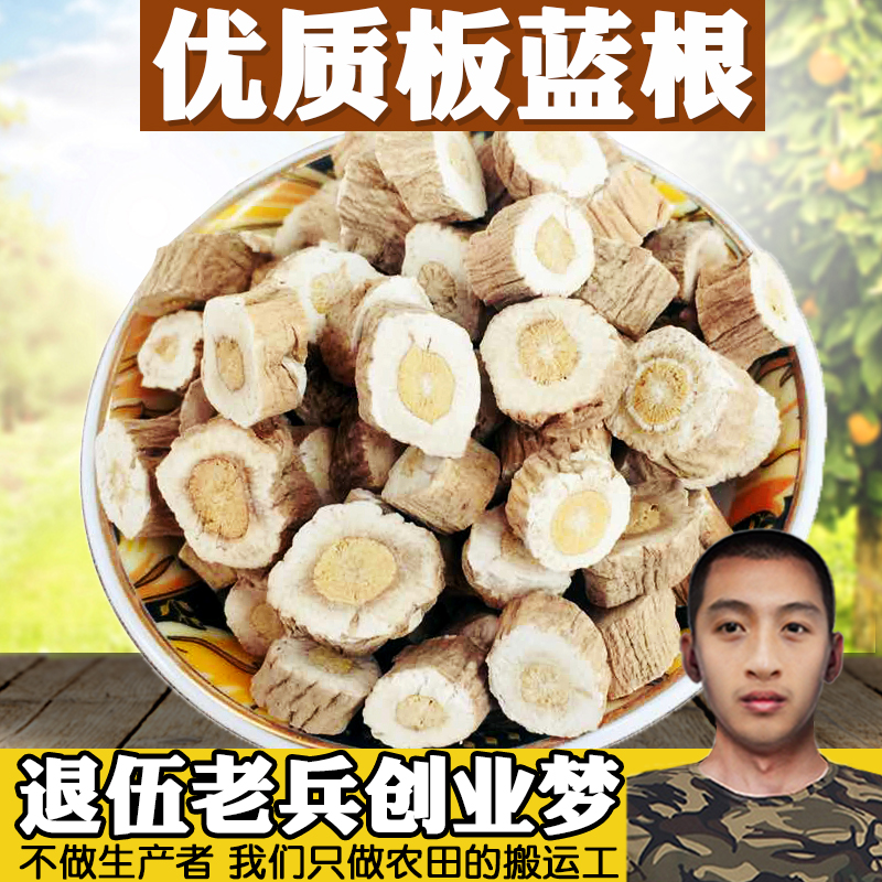 优质板蓝根茶板蓝根块片新货无硫