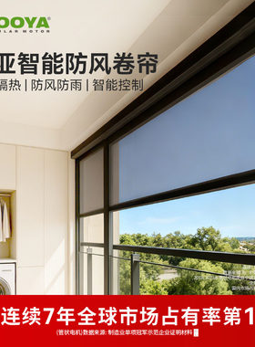 杜亚智能电动防风卷帘开放式阳台