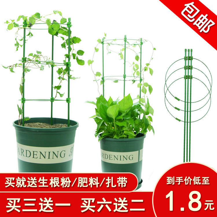 园艺花支架家用爬藤架室内盆栽植物绿萝固定铁环花架月季花支柱 广东家馨家居园艺商城 淘优券