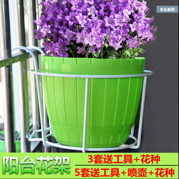 阳台铁艺悬挂花架栏杆篮绿萝多肉