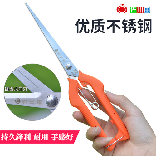 佐川田加长黑枸杞花椒园艺采果剪