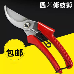 园林花木修剪绿篱剪大剪刀园艺绿化草坪修枝剪工具篱笆剪树枝果剪