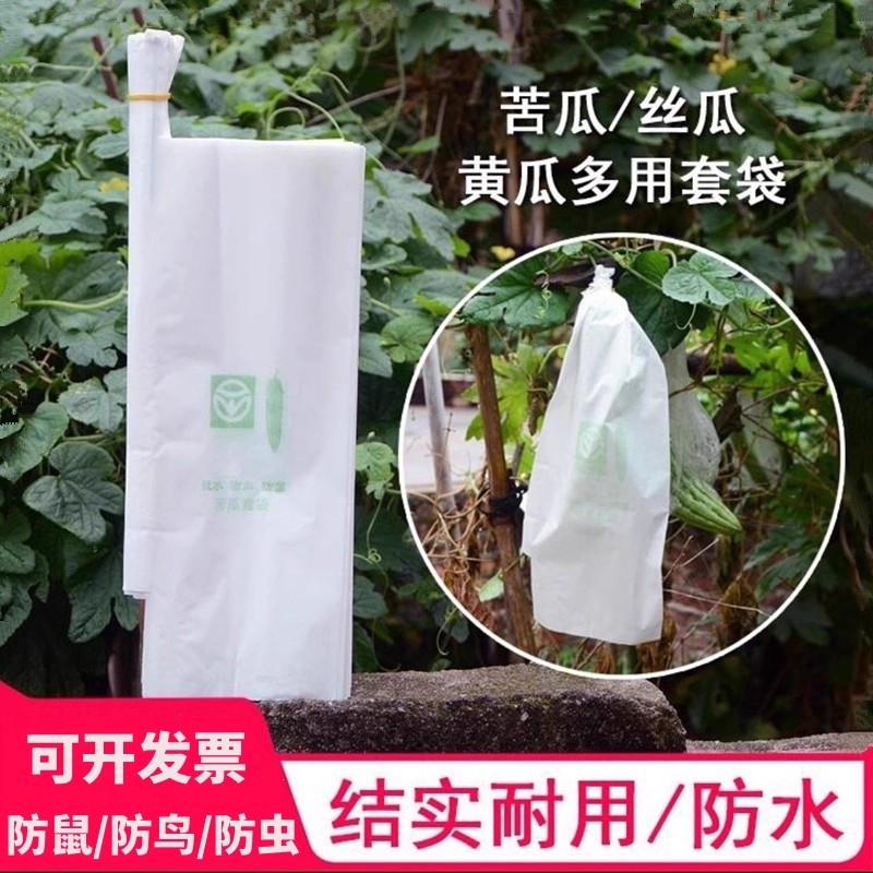 丝瓜黄瓜青瓜苦瓜套袋专用袋防虫袋子保护套纸袋防水瓜果蔬菜水果