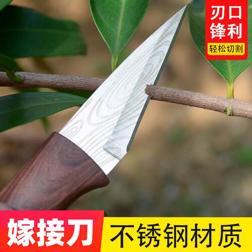 嫁接专用刀果树植物多肉砍头扦插嫁接神器进口手工嫁接芽刀膜工具