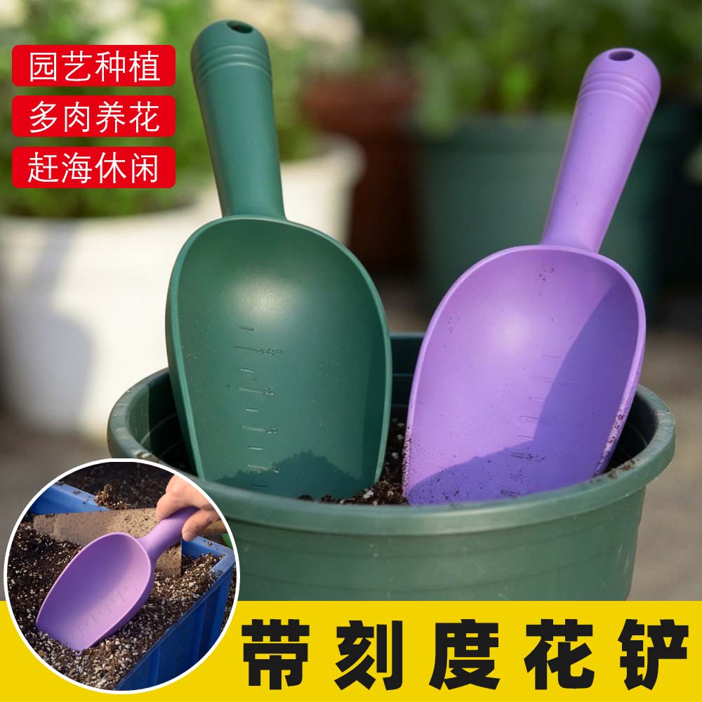 种花工具家用种菜多肉赶海神器铁锹铁铲园艺小铲子加大土勺不锈钢